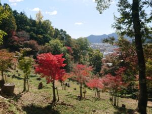 もみじ山